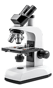 microscope